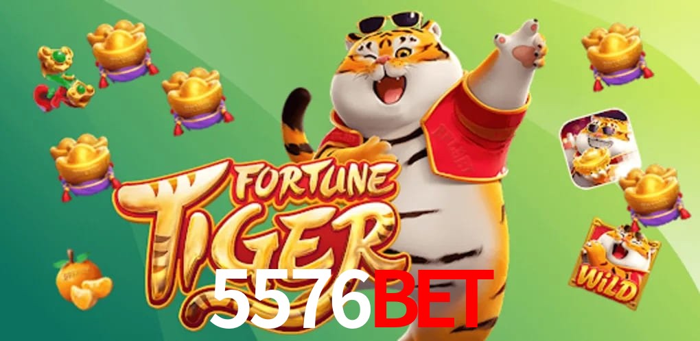 Experiência VIP 5576bet